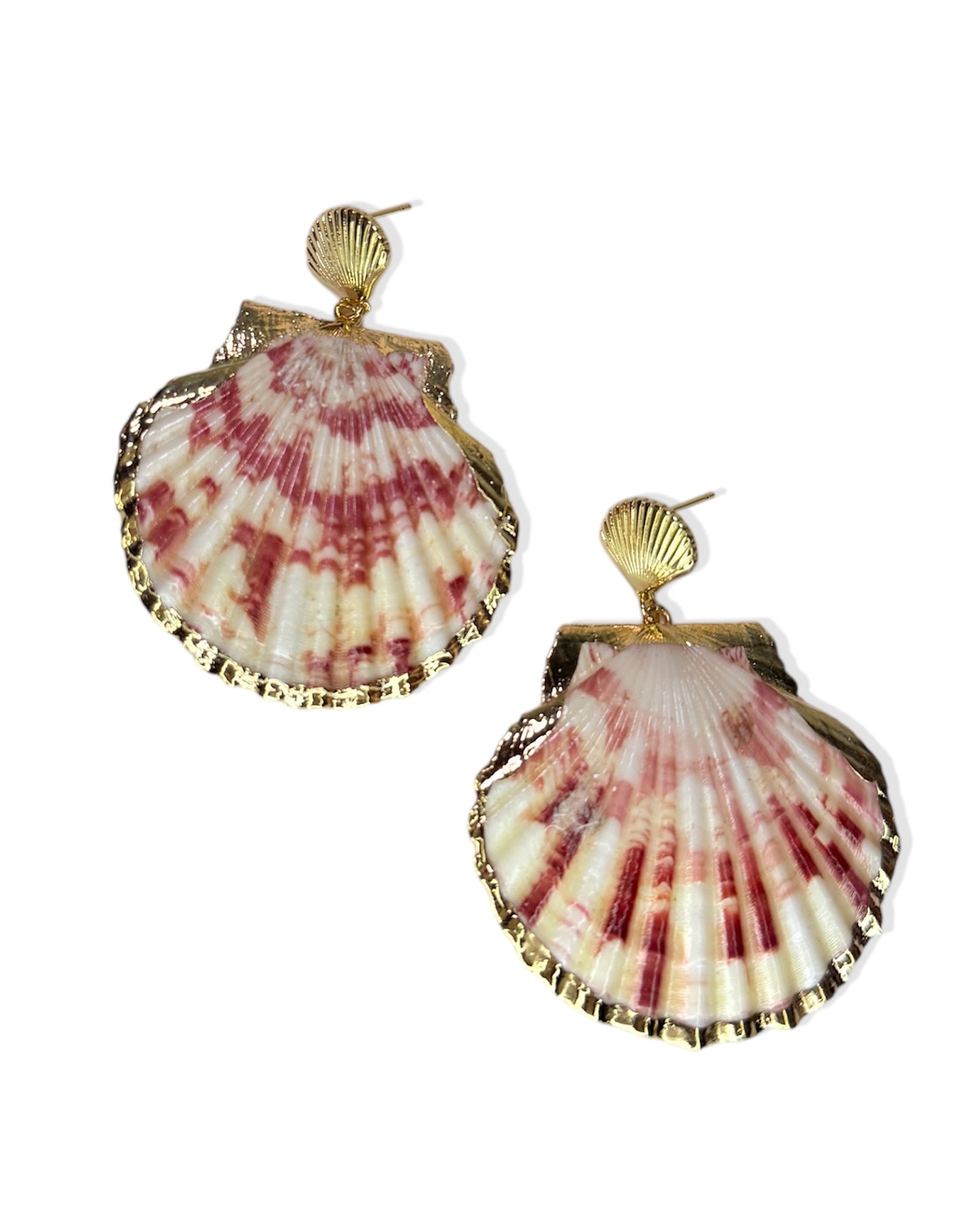 Large Statement Seashell Earrings