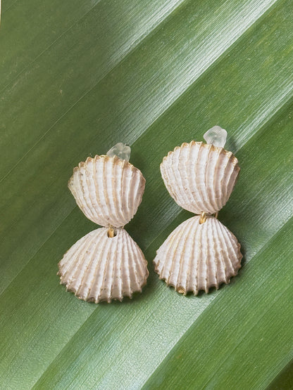 Double Shell Clay Earrings